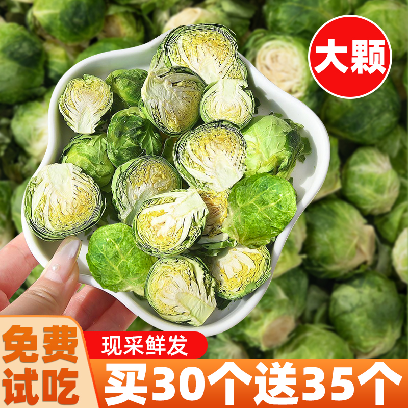 狗狗零食孢子甘蓝冻干宠物幼猫小中大型犬拌粮蔬菜狗粮小包菜食品