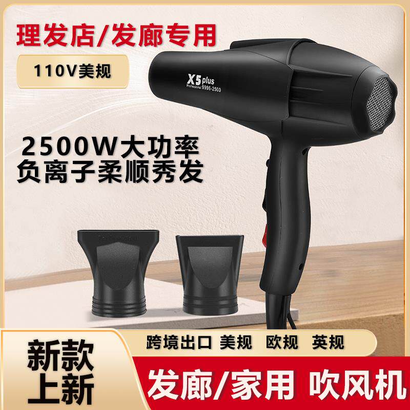 110V美规出口美国日本台湾发廊理发店专用负离子电吹风造型吹风筒