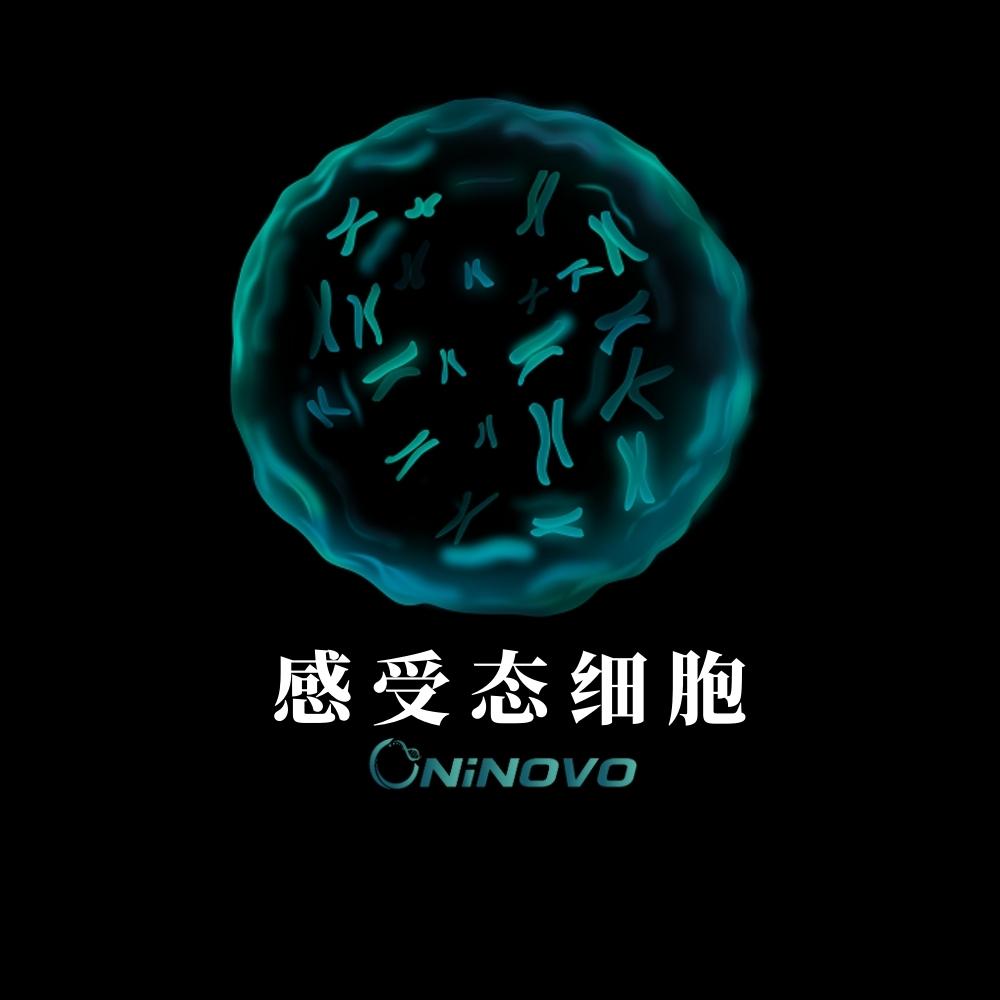 origamib(de3) plyss感受态细胞 开票包邮 更多感受态请咨询客服