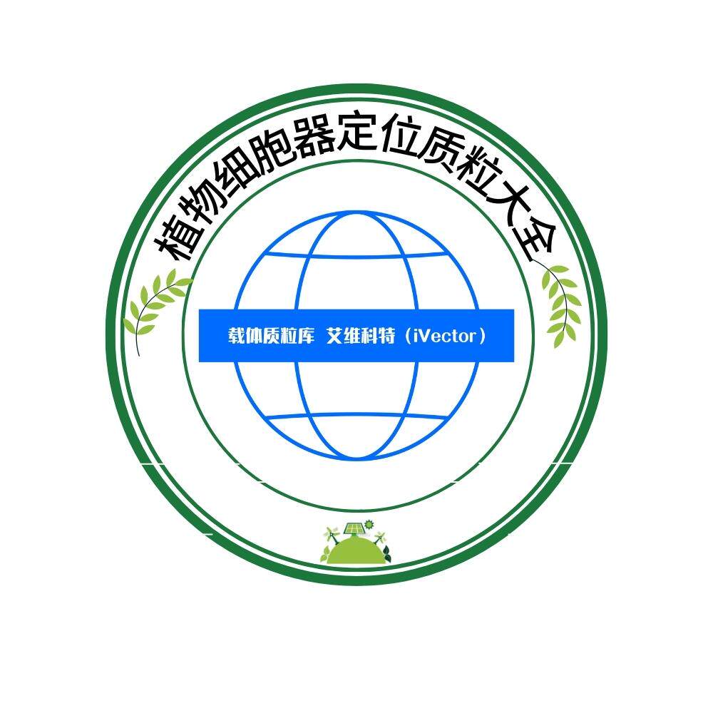 植物细胞器定位质粒大全pbi121-nls-cfp质粒 顺丰包邮开票