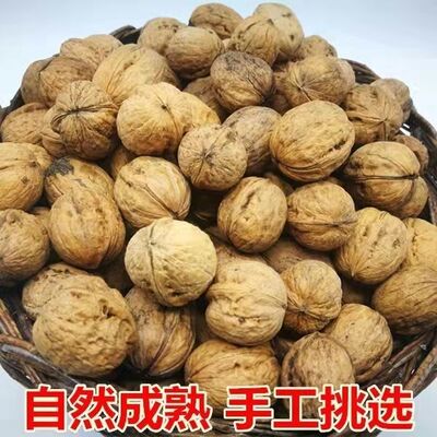 2025年山西老树核桃原色原味干核桃新货无漂白厚皮核桃