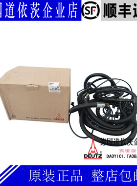 原装正品德国道依茨Deutz柴油发动机配件BF6M1015C线束04213388