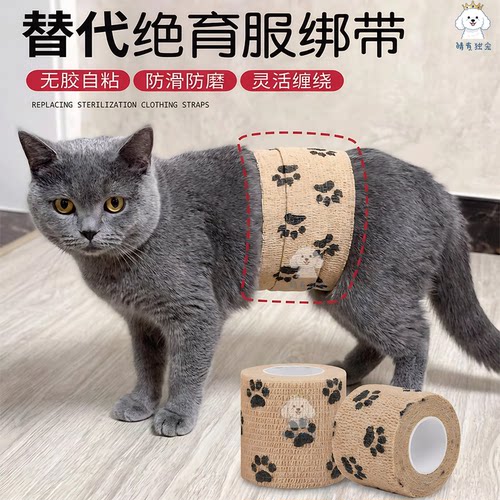 狗猫医用术后防舔绝育透气绷带