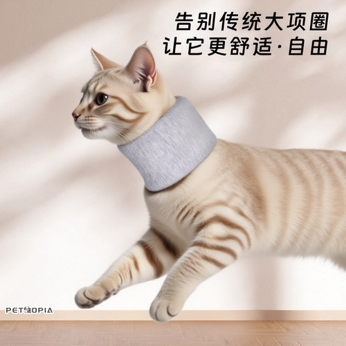 猫狗绝育项圈防舔防抓伊丽莎白圈