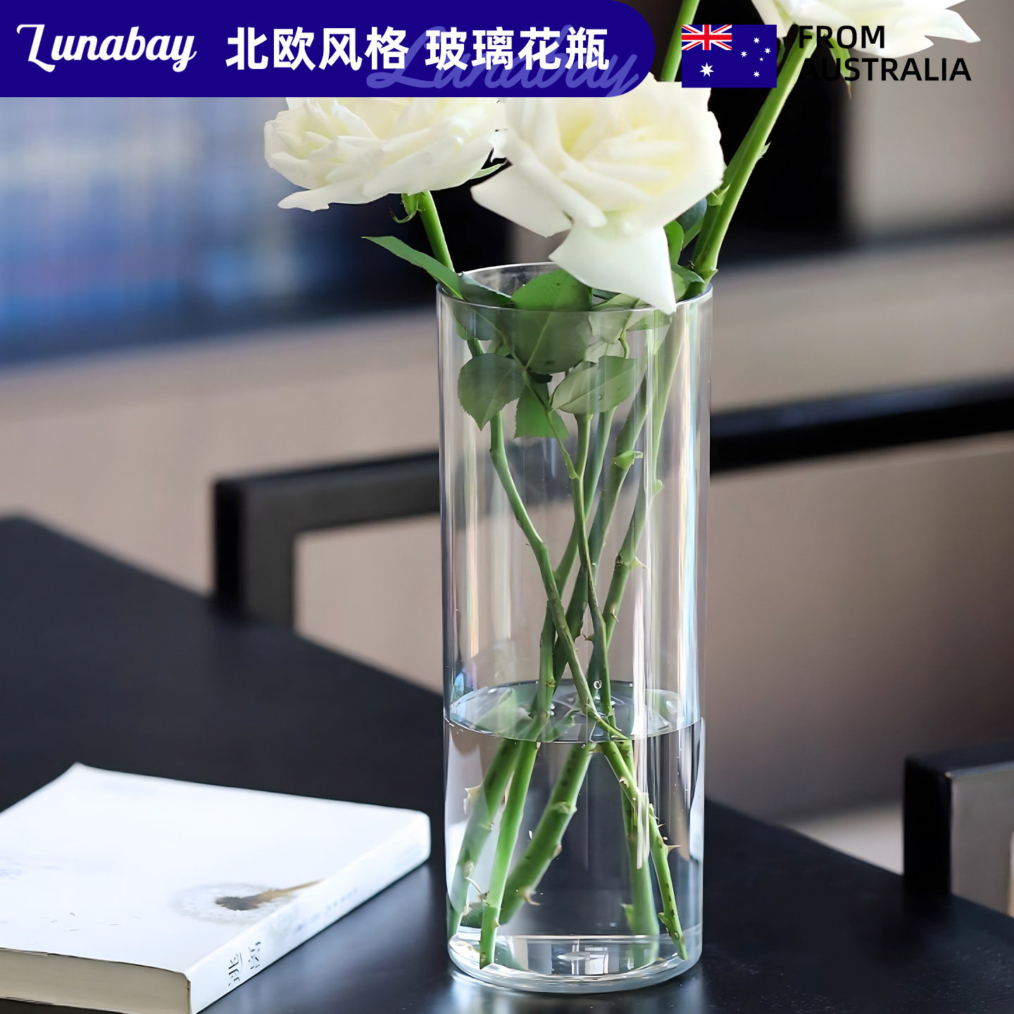 Lunabay北欧直筒玻璃花瓶简约花