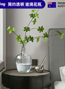 Lunabay澳大利亚简约透明大肚玻璃花瓶小口马醉木花瓶吊钟插 LB39
