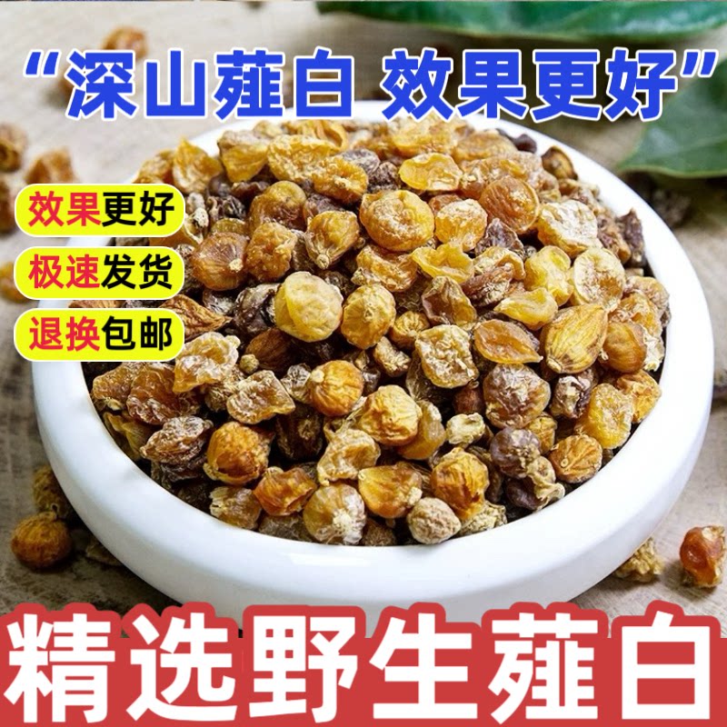 野生薤白中药材正品500g薤白头泻白薤白粉特级新鲜货野蒜山蒜泡水