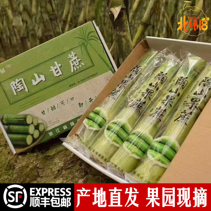 顺丰陶山甘蔗青皮绿皮甘蔗孕妇新鲜水果应季果蔗现砍发5斤甜精品