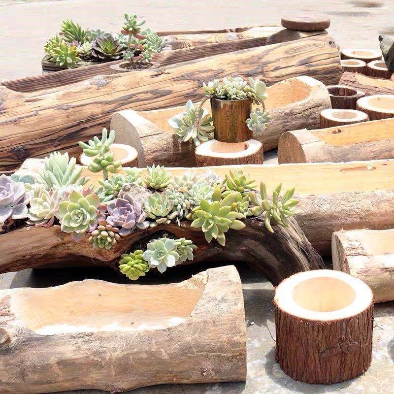 老木头花盆原木花盆木桩花盆特色花盆造型独特的多肉花盆创意个性