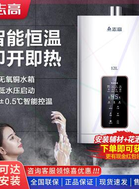 燃气热水器12L平衡式天燃气液化煤气家用洗澡强排式6升出租房