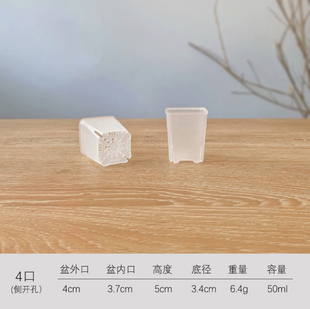 枝干番杏专用盆3.7cm透明加厚多肉花盆塑料小口径肉锥生石花种植