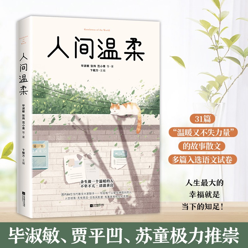 人间温柔全书正版书籍  毕淑敏张炜范小青等著 写给美味心里住满阳光的人散文名家的一本体现温柔的散文集成精选名篇畅销书