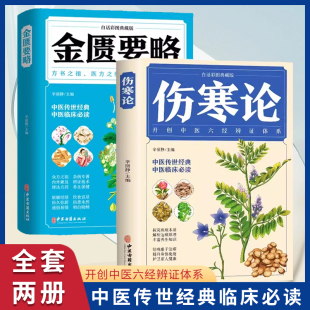 彩图全解典藏版 临床必读丛书自学入门基础理论 中医学养生书籍大全原文著合称伤寒杂病论全套正版 金匮要略 张仲景正版 伤寒论