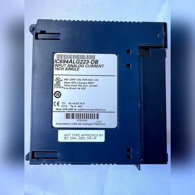 GE IC694ALG223 模块功能正常实图 议价