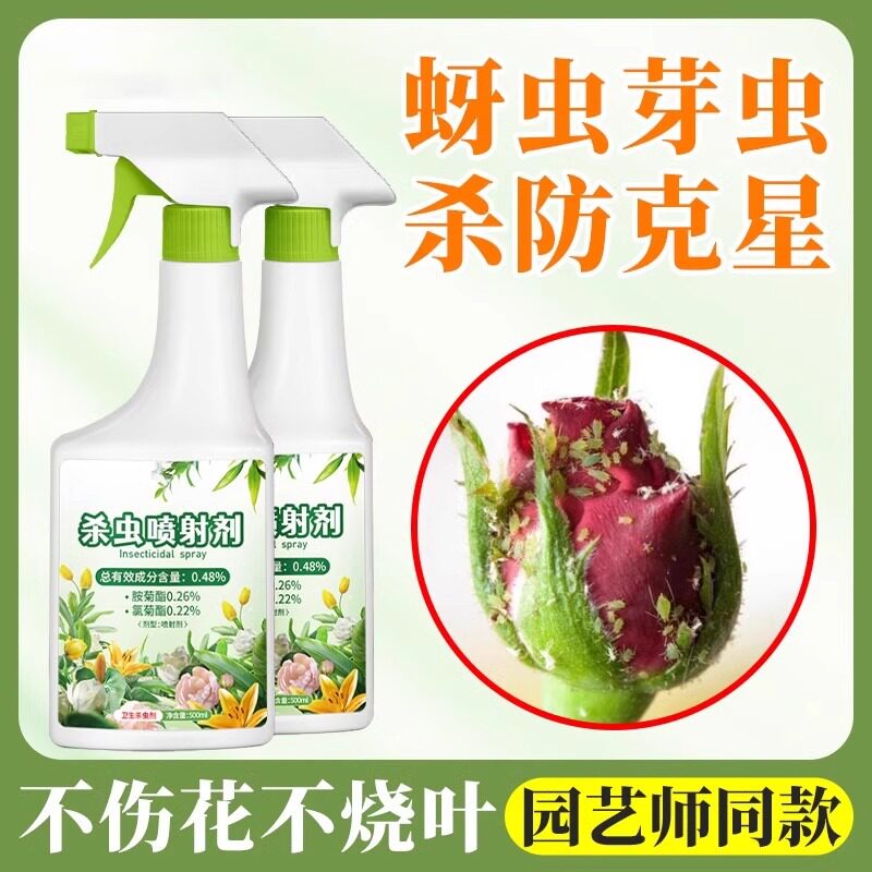 防去除治多肉蜜虫腻虫芽虫杀虫剂月季花卉植物灭蚜虫专用的药喷雾