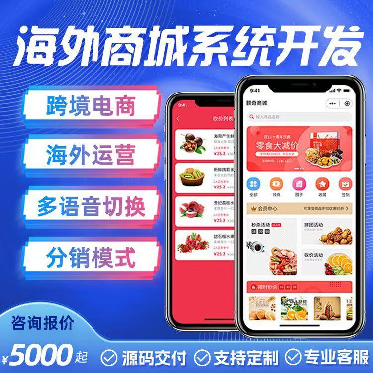 海外商城APP开发跨境分销APP多国语言跨境电商app网站h5软件定制