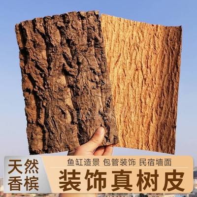 天然香槟软木干树皮鱼缸造景包水管道复古墙面装饰背景木皮墙贴板