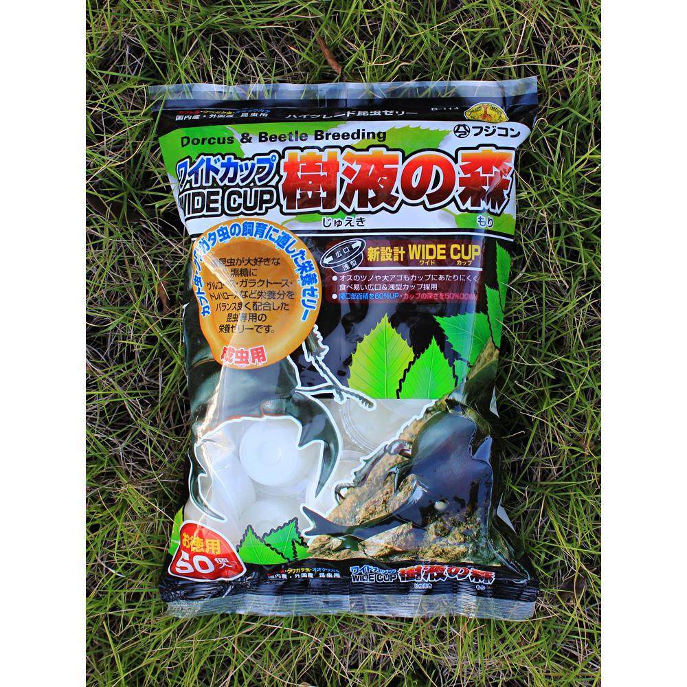 甲虫果冻独角仙锹甲昆虫果冻饲料花金龟兜虫毛象成虫黑糖食物食台图片