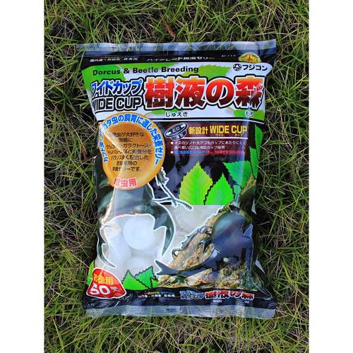 甲虫果冻独角仙锹甲昆虫果冻饲料花金龟兜虫毛象成虫黑糖食物食台