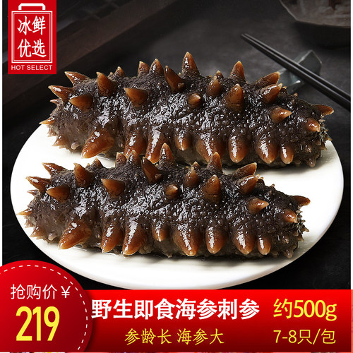 海参即食大连鲜活孕妇野生辽刺参