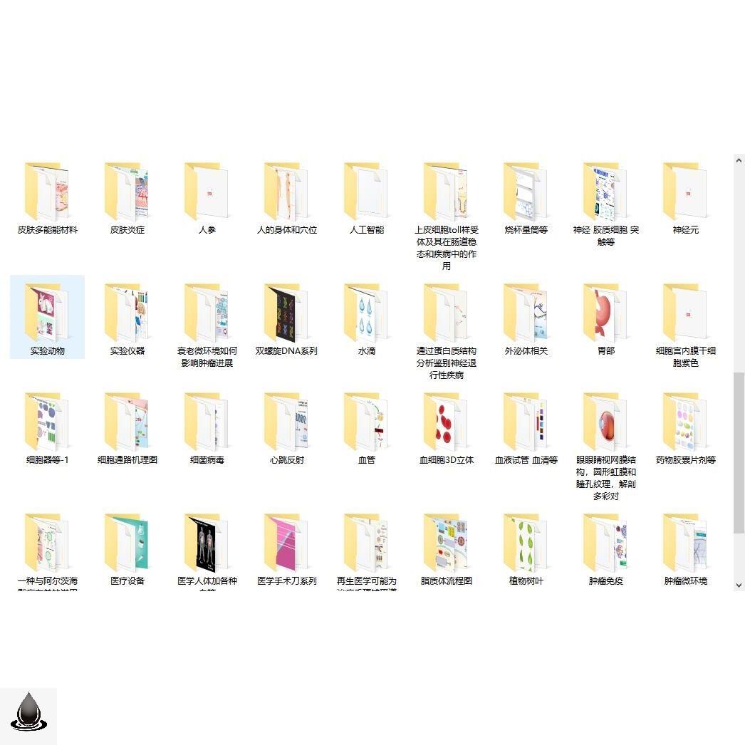 流程图通路图器官图医学ppt科研绘图素材细胞生物医学AI模板