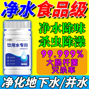 饮用水净水片野外生存户外消毒独立包装长保质期食品级泡腾片井水