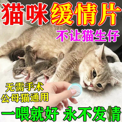 猫咪绝i情母猫专用宠物终身不i育抑制发i情期叫春嚎叫躁动禁情片