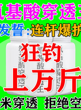 脯丝甘丙氨基酸穿透王高浓度强力诱鱼钓鱼小药高穿透力饵料添加剂