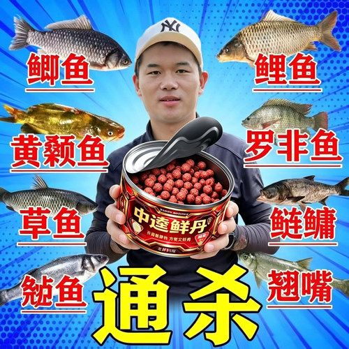中逵鲜丹二代野钓黑坑挂钩饵料