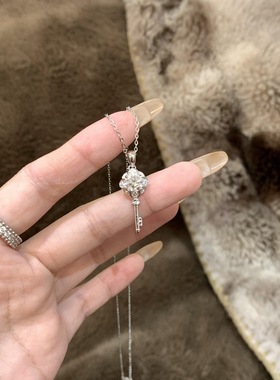 S925纯银四叶草项链女轻奢小众设计感锁骨链2025新款爆款颈链配饰