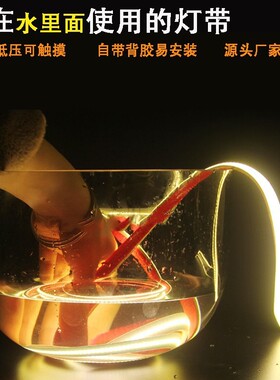 led灯带12v鱼缸灯带220v灯带吸顶灯灯带防水24v灯带蓝色自粘灯带