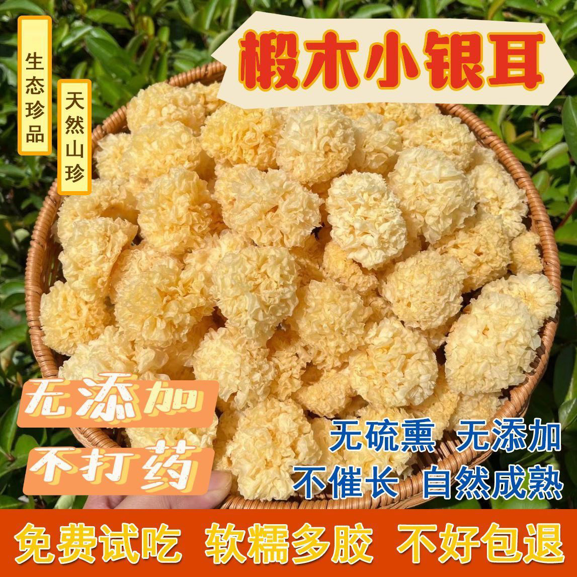 古田银耳干货特一级椴木小银耳