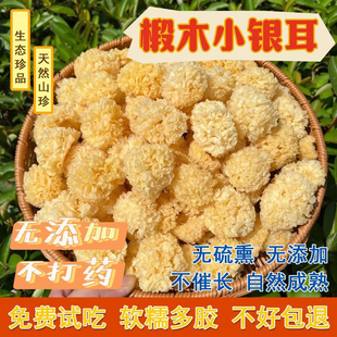 古田银耳干货特一级椴木小银耳无熏软糯易出胶农家毛重白木耳无硫