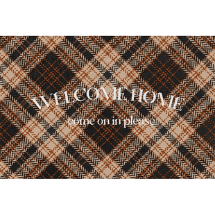 丝圈入户门垫进门脚垫法式美拉德复古门口地垫可裁剪玄关地毯定制