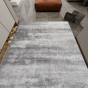 丝圈入户门地垫轻奢风脚垫简约现代进门地毯玄关门垫门厅垫子定制