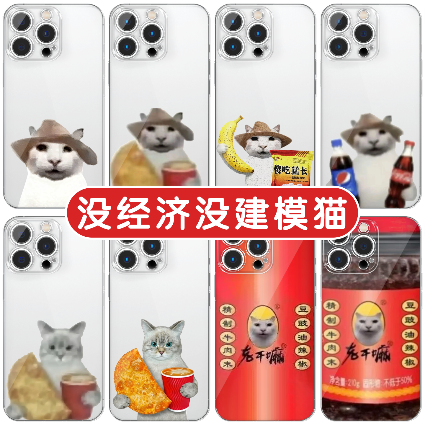 没建模没经济小猫手机壳表情包
