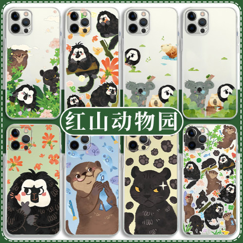 红山动物园南京红山森林高透软壳