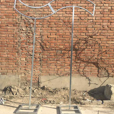 婚庆道具双层S形背景架户外草坪婚礼背景墙w装饰线帘架子几何拱门