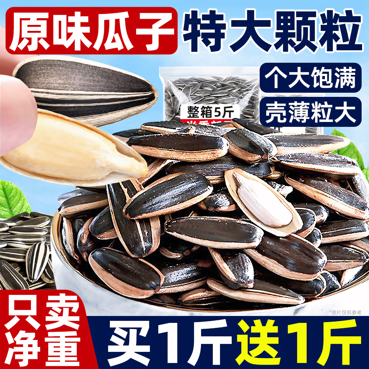 原味瓜子！2025新货大颗粒！