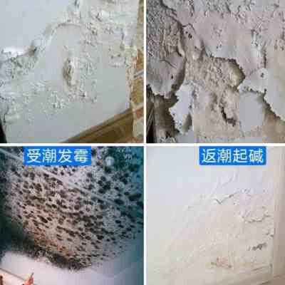 现货速发背水面天花板内墙房顶防水室内防漏补墙补漏防潮防霉漏水