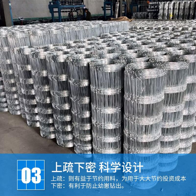 厂销镀锌铁丝网果园围网养殖牛栏网栅栏围网防护牛羊W围栏网钢A品