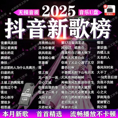 2025抖音新歌音乐车载u盘高音质无损音乐流行新热门歌曲音乐优盘