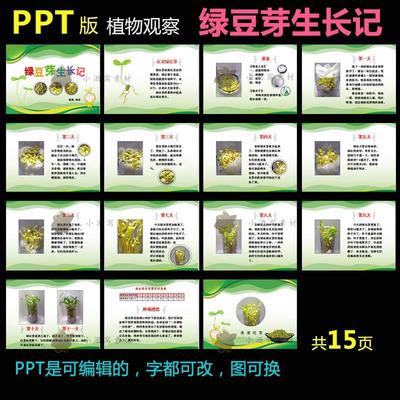 ppt模板绿豆芽生长记学生科学观察记录豆芽苗菜植物种子成长日记l