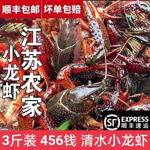 江苏鲜活小龙虾顺丰包邮青红虾456钱虾农直发3斤装