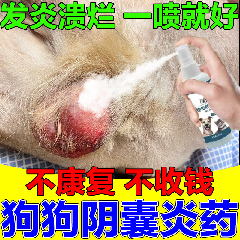 狗狗阴囊炎专用药狗蛋蛋红肿发炎流脓溃烂甲硝唑兽药消炎杀菌喷雾