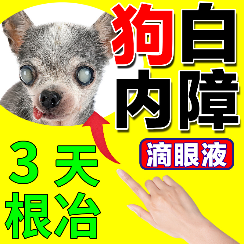 狗狗白内障专用老年犬硫酸新霉素眼药水抗菌消炎氯霉素滴眼液宠物