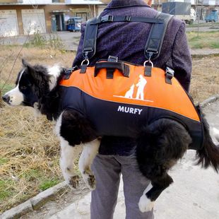 马犬金毛双肩携行狗背包宠物中大型犬多功能空降包神器户外背狗包