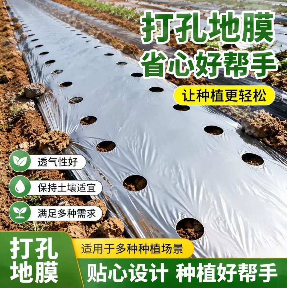 农用打孔银黑膜加厚双色地膜