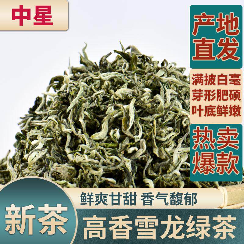 2026新茶甘肃罐罐茶春尖茶高香雪龙绿茶茶叶浓香型耐煮云南春尖茶