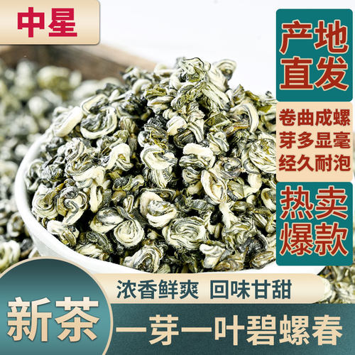 一芽一叶云南碧螺春绿茶茶叶